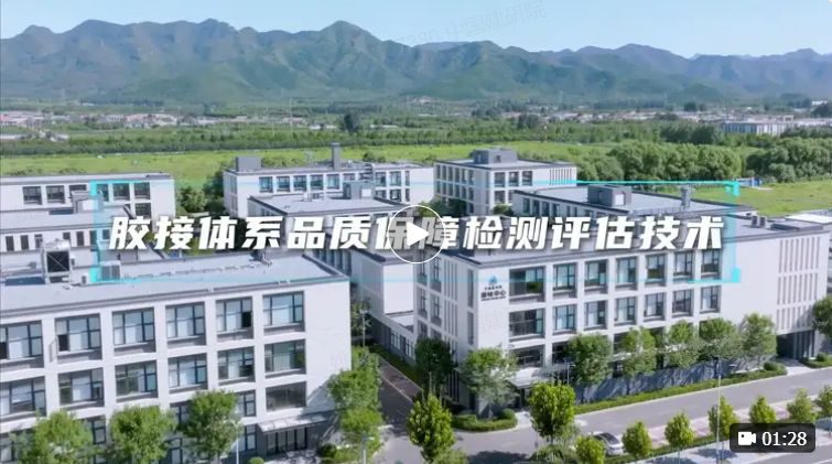 澳门免费原料网大全